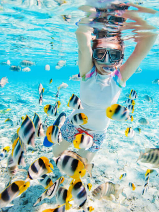 Shore Excursions Group